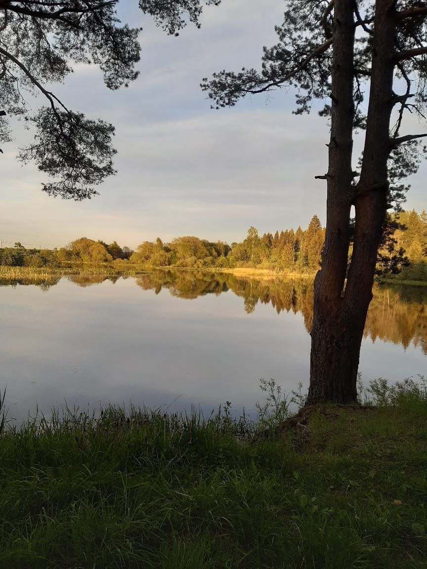 Земельный участок в  с. Городня