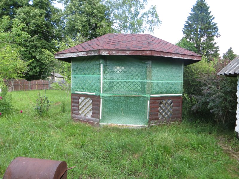 Дом в д. Борцино