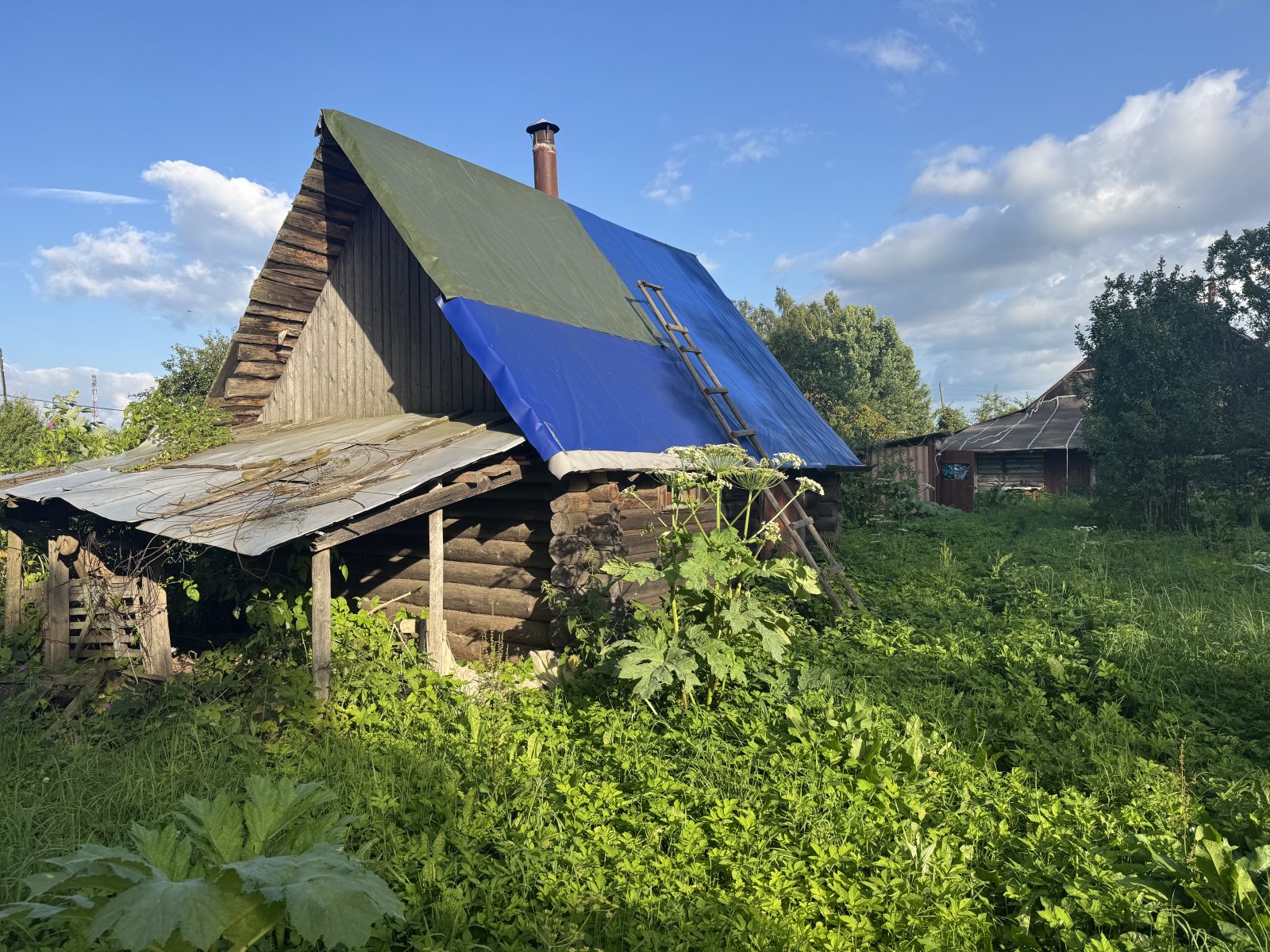 Дом в д. Меженино