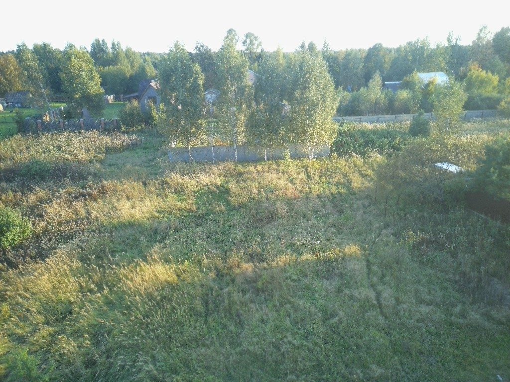 Земельный участок в д. Борцино