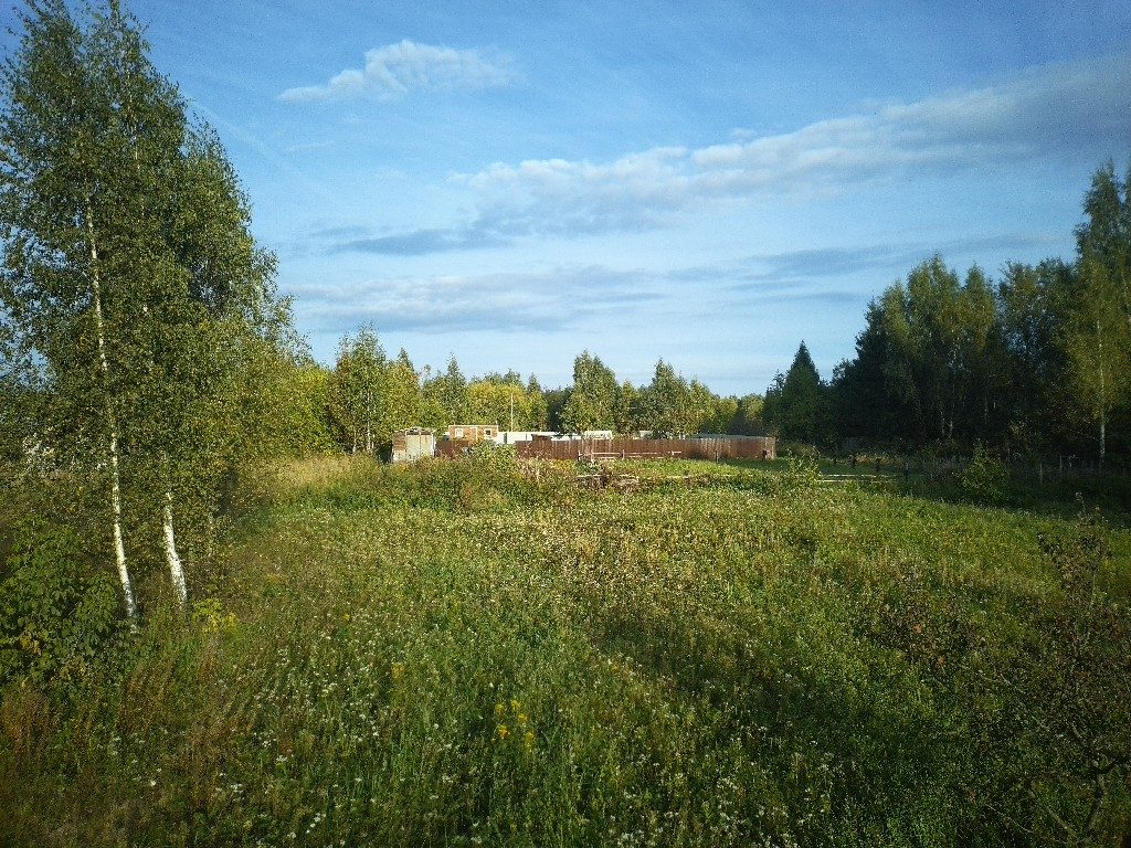 Земельный участок в д. Борцино